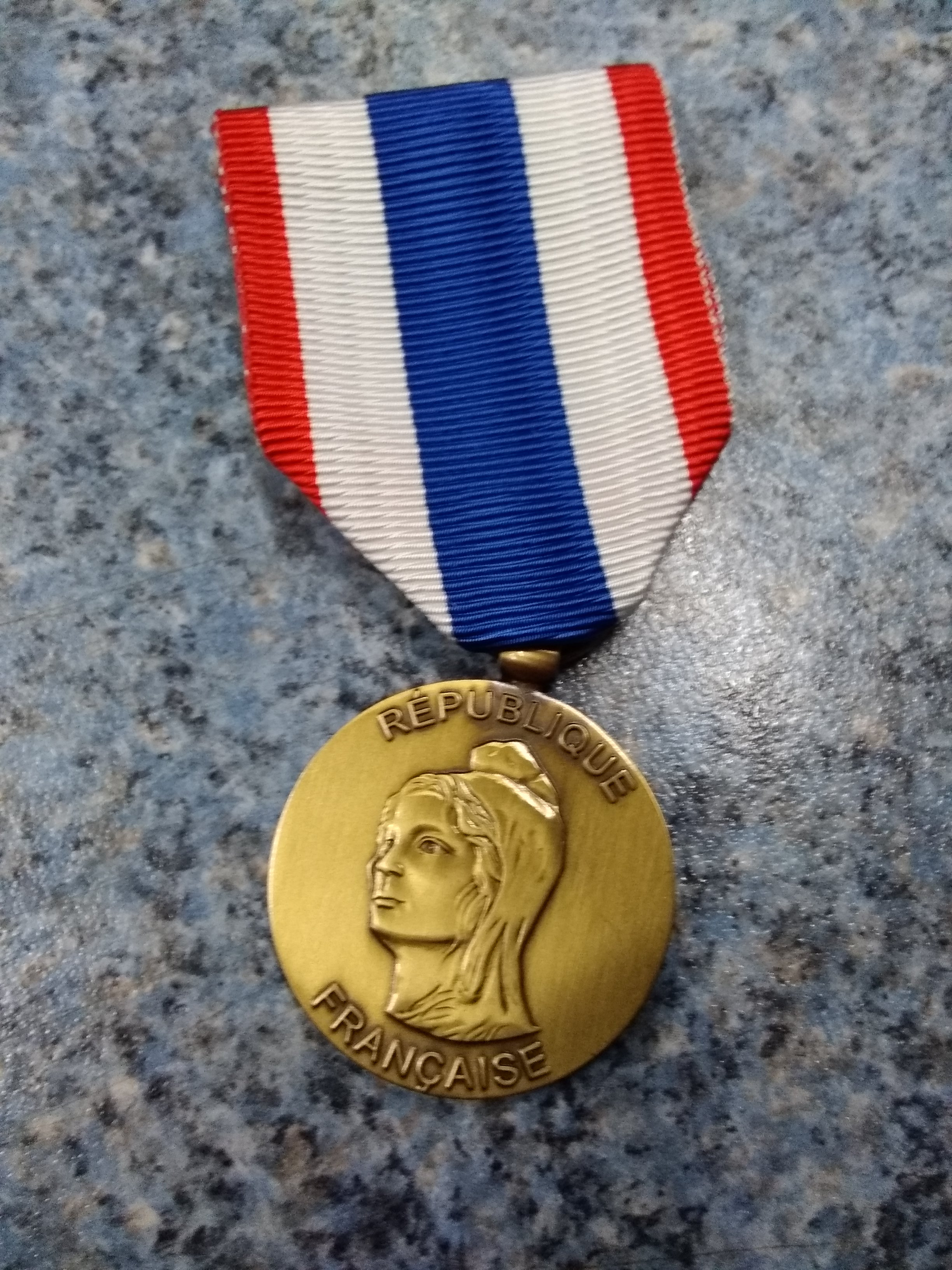 Médaille de la Protection militaire du territoire - Insigne